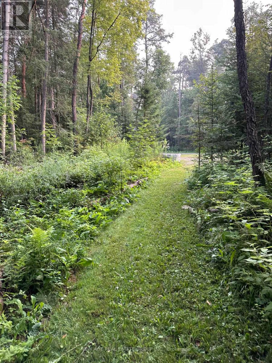 9031 Sideroad 17 Road, Erin, Ontario  N0B 1Z0 - Photo 15 - X13003524
