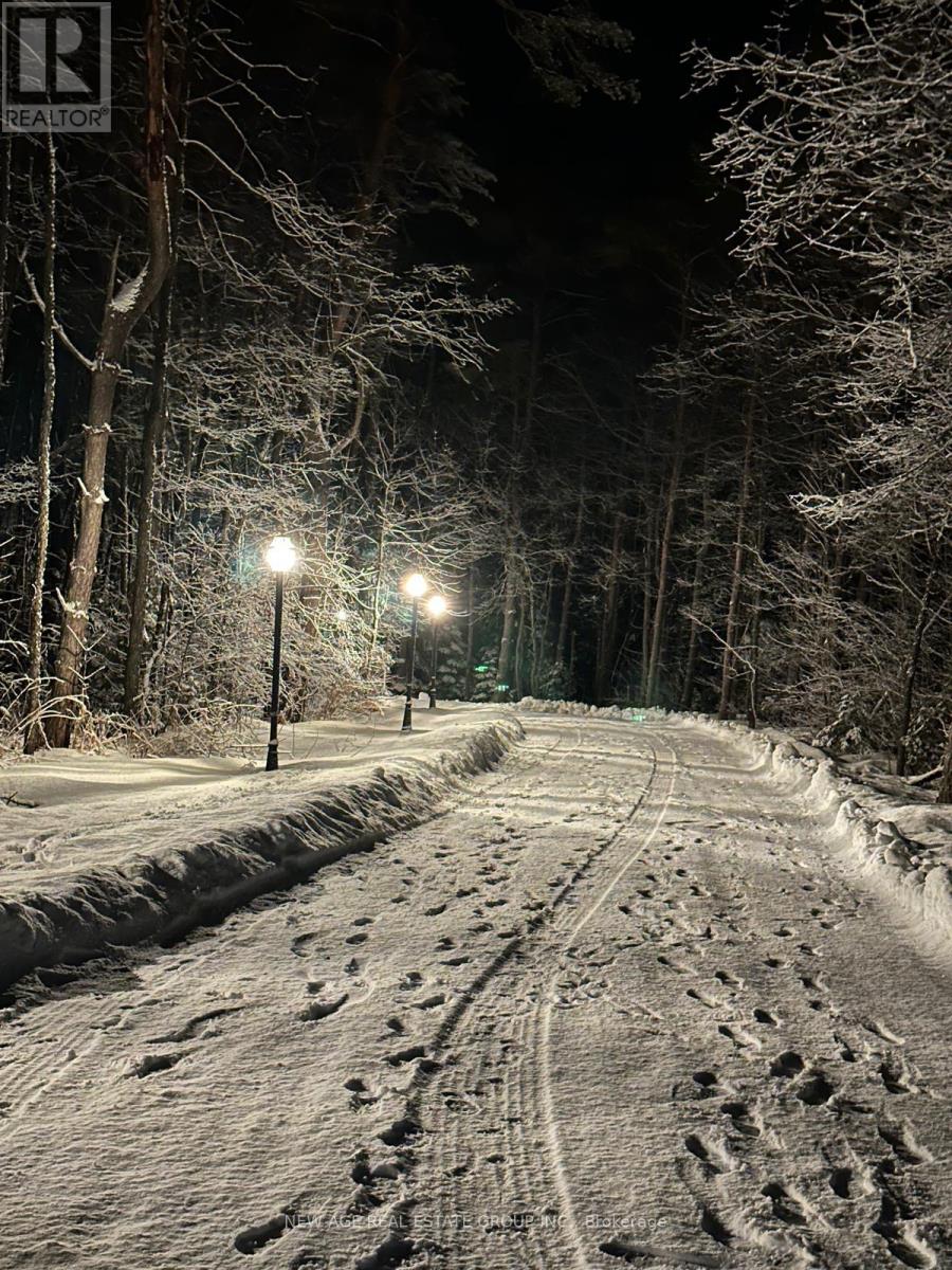 9031 Sideroad 17 Road, Erin, Ontario  N0B 1Z0 - Photo 18 - X13003524