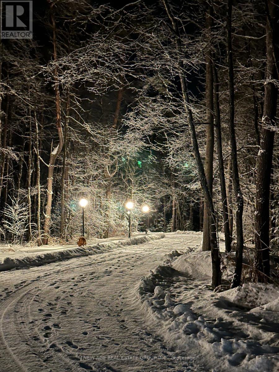 9031 Sideroad 17 Road, Erin, Ontario  N0B 1Z0 - Photo 19 - X13003524