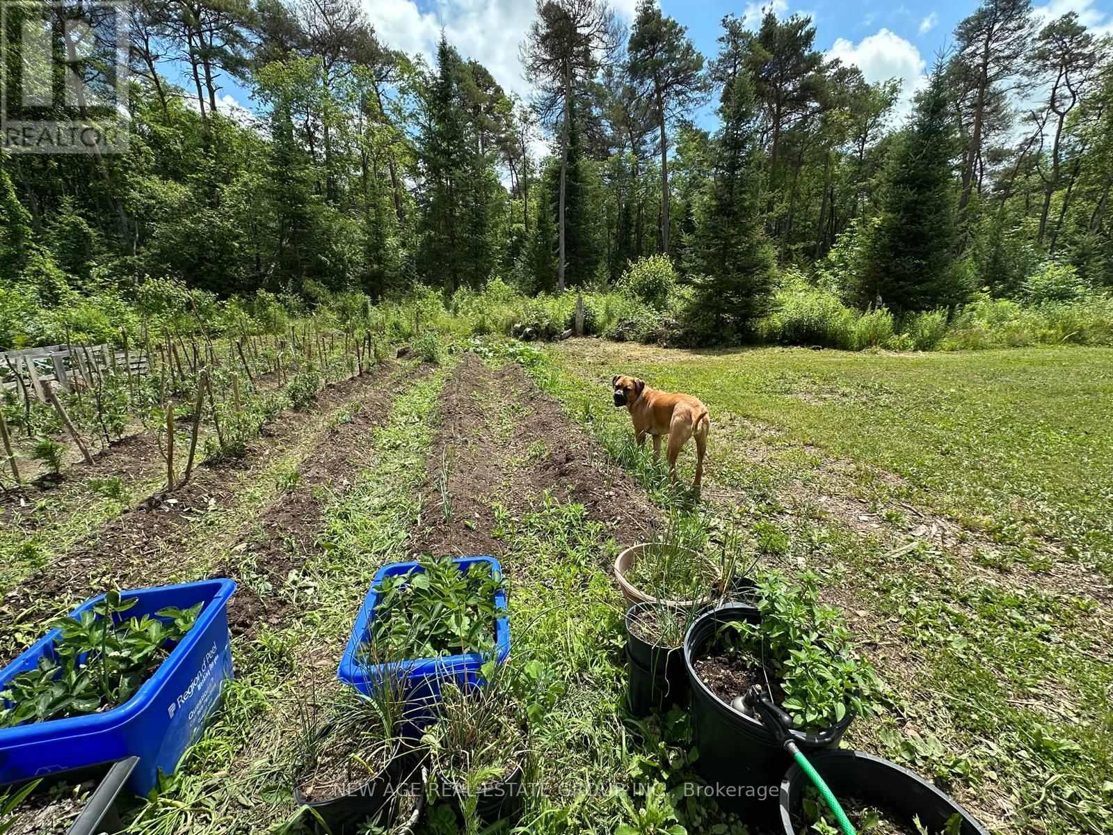 9031 Sideroad 17 Road, Erin, Ontario  N0B 1Z0 - Photo 21 - X13003524