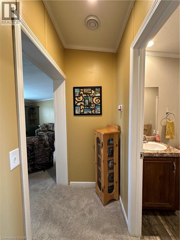 14 Copper Beech Drive, Haldimand County, Ontario  N0A 1L0 - Photo 37 - 40821195