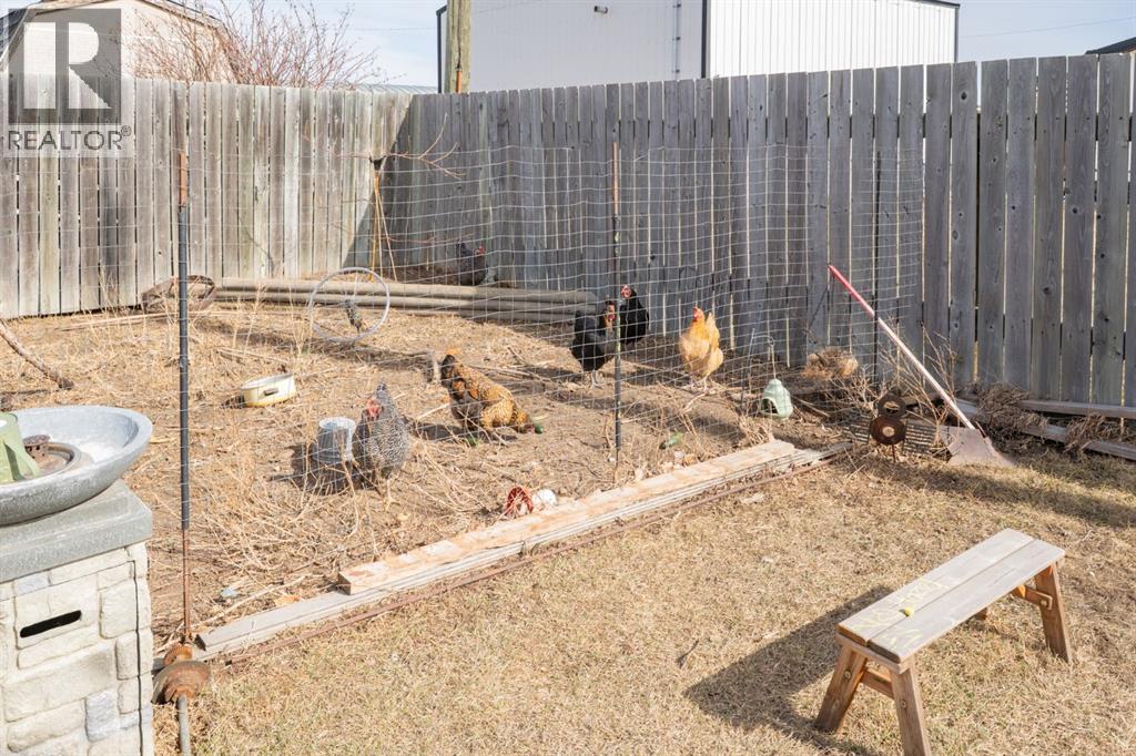 257 Leonard Street, Seven Persons, Alberta  T0K 1Z0 - Photo 39 - A2296091