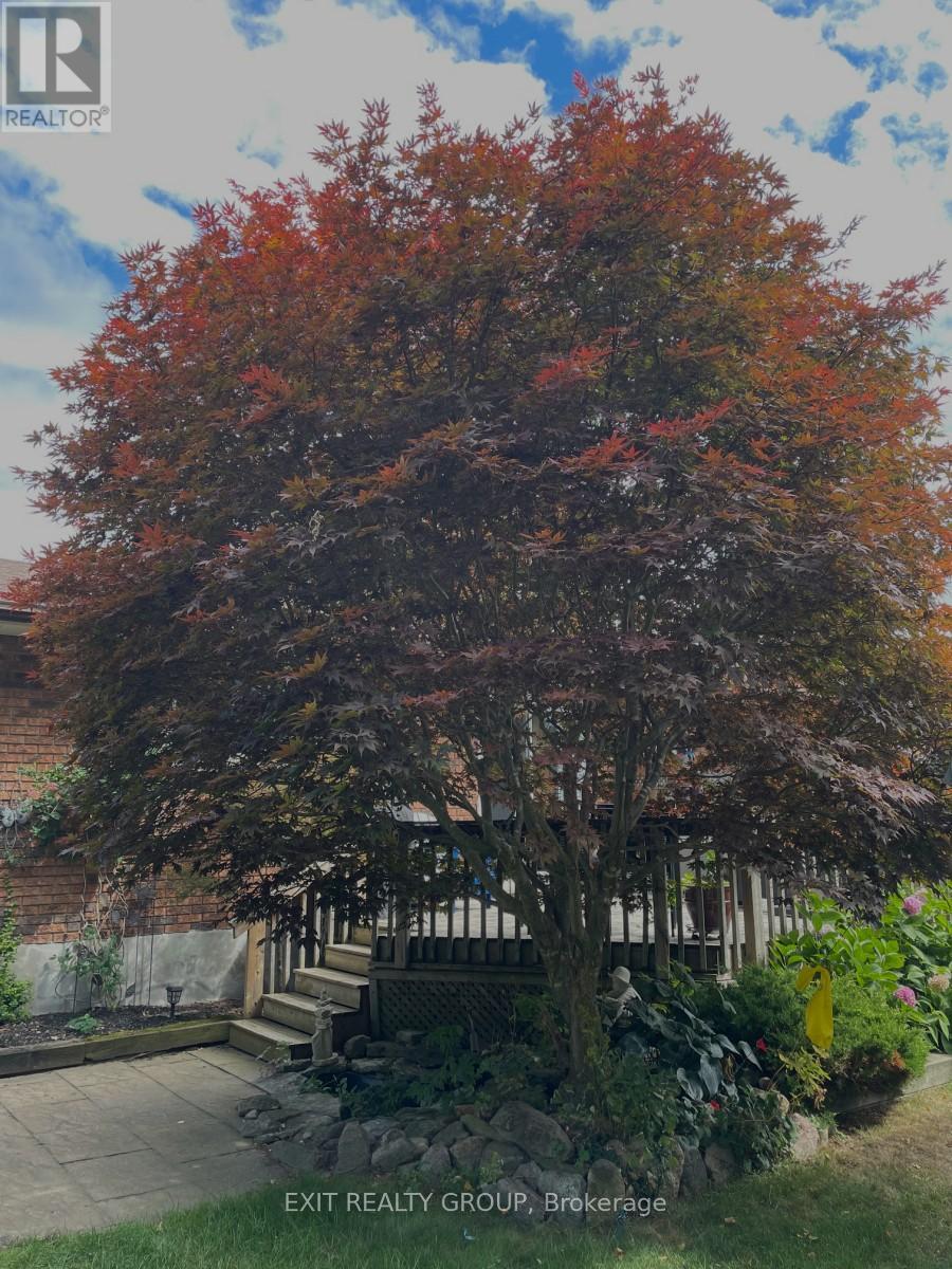 98 Division Street S, Brighton, Ontario  K0K 1H0 - Photo 38 - X13000136