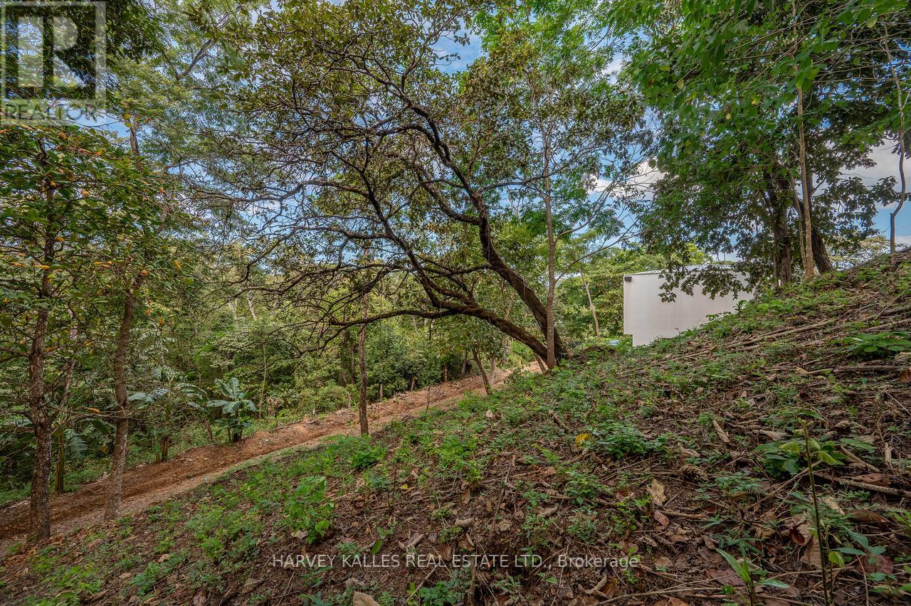 1 Puerto Viejo Condominio Lomas De Conchal, Casa 37, Costa Rica, Ontario   - Photo 48 - X13003718