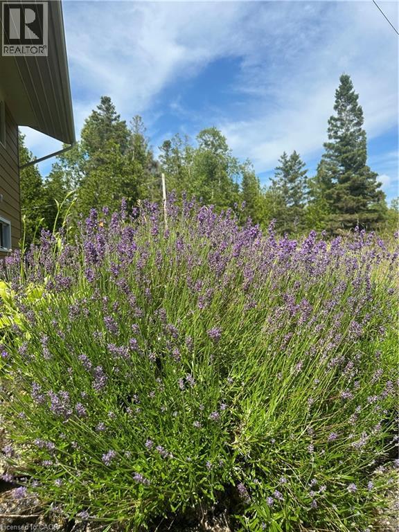 1020 Dorcas Bay Road, Tobermory, Ontario  N0H 2R0 - Photo 45 - 40820519