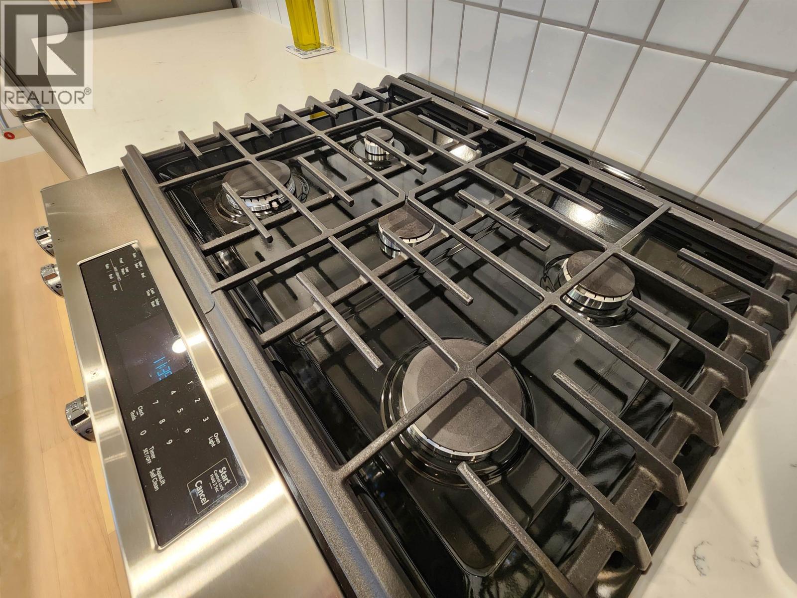 202 22265 Dewdney Trunk Road, Maple Ridge, British Columbia  V2X 3J1 - Photo 11 - R3098080