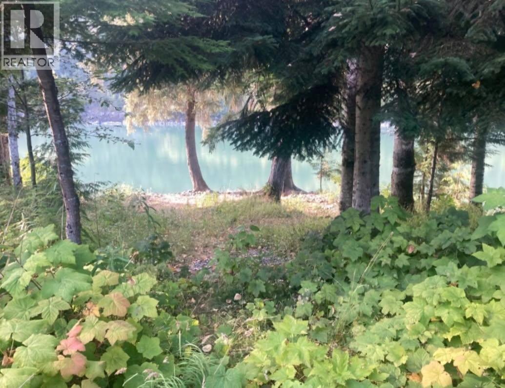 6191 Chimdemash Frontage Road, Terrace, British Columbia  V8G 0A8 - Photo 9 - R3030903