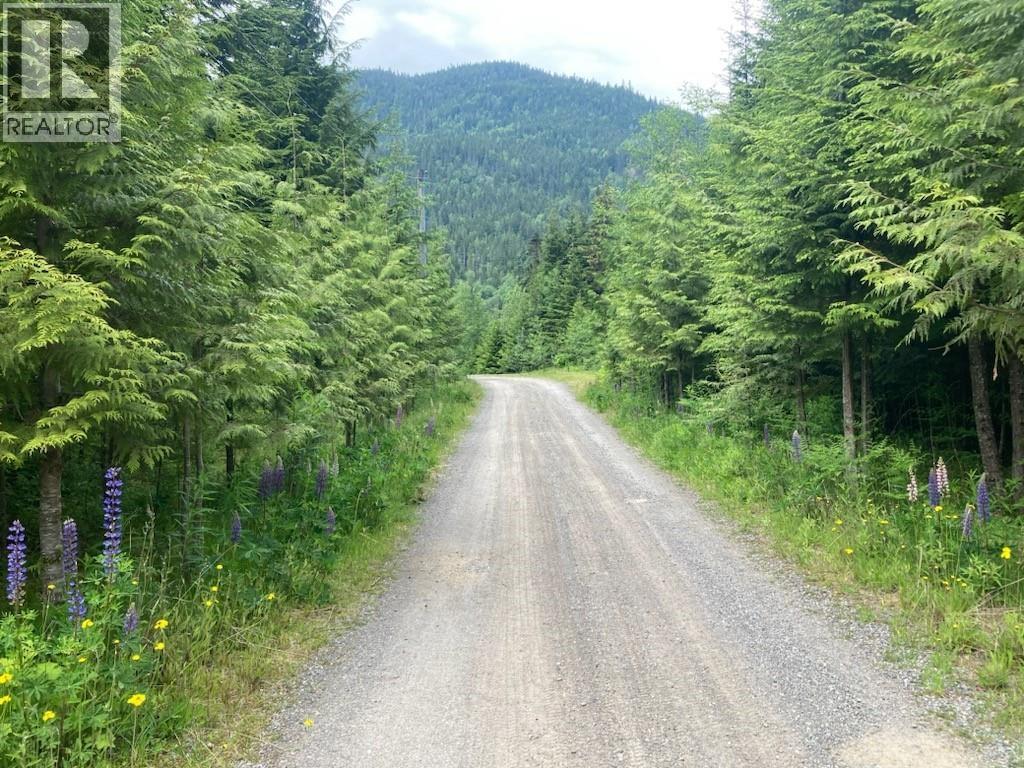 6191 Chimdemash Frontage Road, Terrace, British Columbia  V8G 0A8 - Photo 25 - R3030903