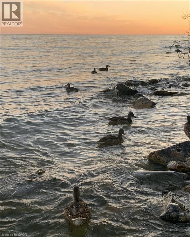 1166 Dorcas Bay Road, Tobermory, Ontario  N0H 2R0 - Photo 44 - 40818679