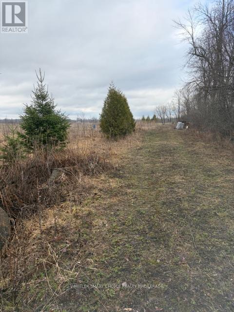 00000 North Lunenburg Road, South Stormont, Ontario K0C 1R0 - Photo 6 - X13003986