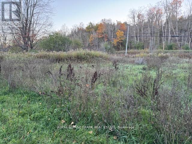 Pt Lt 20 Fire Route 121, Trent Lakes, Ontario  K0M 1A0 - Photo 11 - X13003590