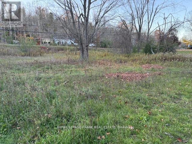 Pt Lt 20 Fire Route 121, Trent Lakes, Ontario  K0M 1A0 - Photo 12 - X13003590