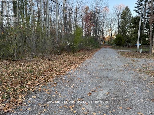 Pt Lt 20 Fire Route 121, Trent Lakes, Ontario  K0M 1A0 - Photo 8 - X13003590