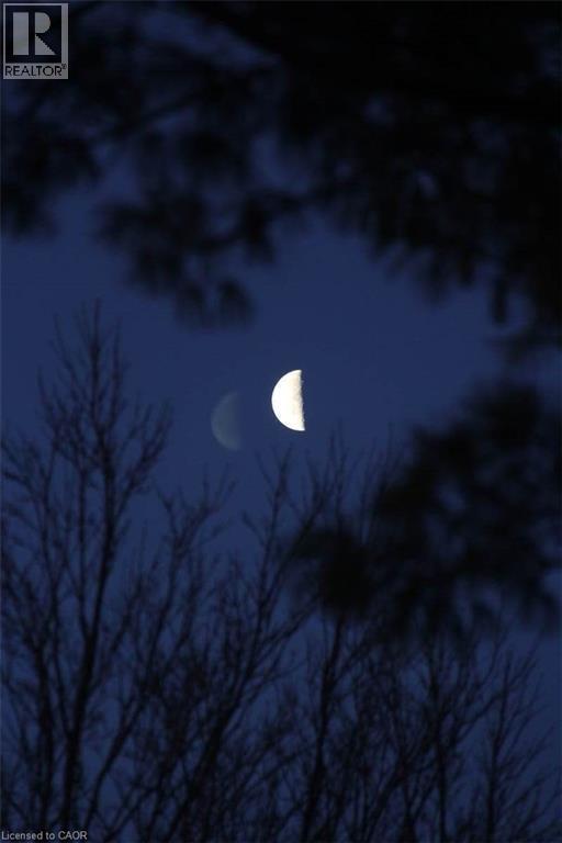 46 Clara Crescent, Brantford, Ontario  N3S 7E1 - Photo 39 - 40821284