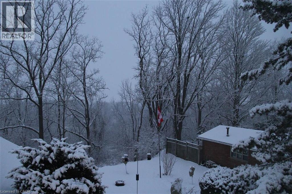 46 Clara Crescent, Brantford, Ontario  N3S 7E1 - Photo 40 - 40821284