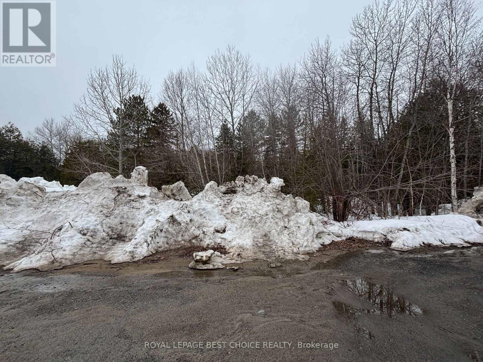 32 Pyrite Street N, Cobalt, Ontario  P0J 1C0 - Photo 2 - T12976628