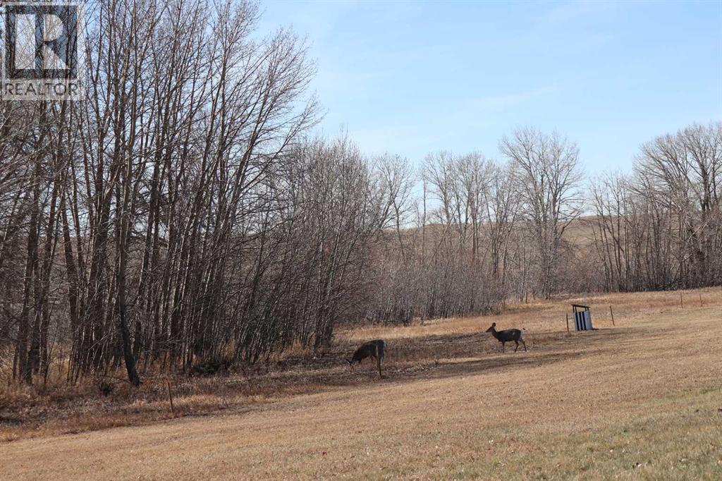 663 Lakeside Drive, Rural Vulcan County, Alberta  T0L 0R0 - Photo 19 - A2289745