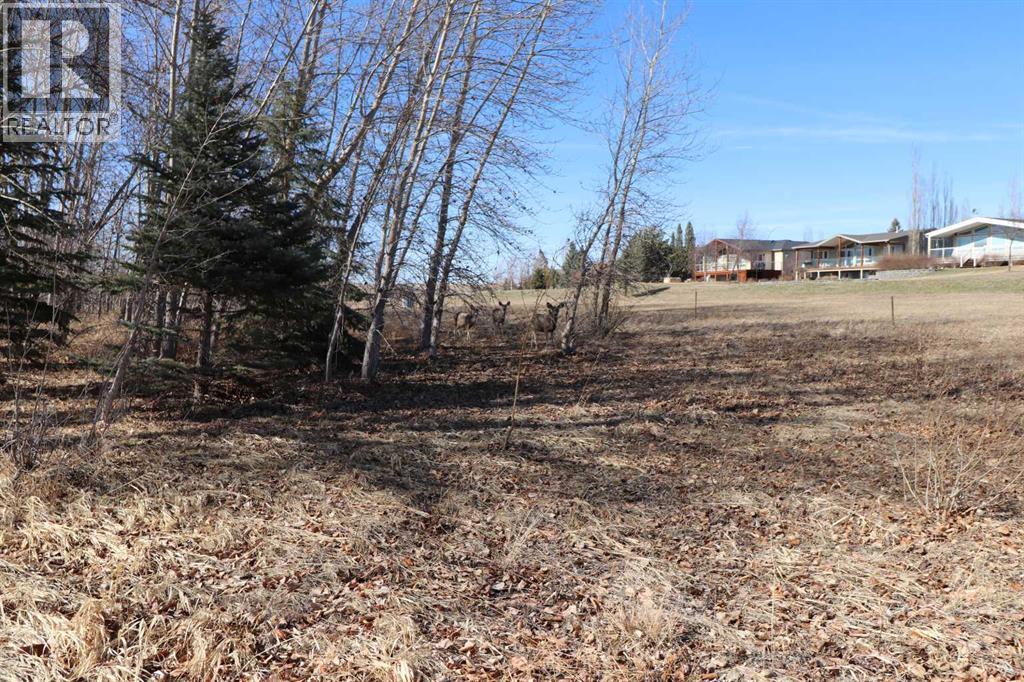 663 Lakeside Drive, Rural Vulcan County, Alberta  T0L 0R0 - Photo 24 - A2289745