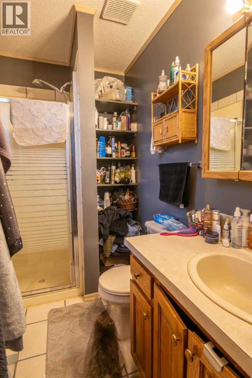 128 10 Avenue NE, Sundre, Alberta  T0M 1X0 - Photo 17 - A2277995