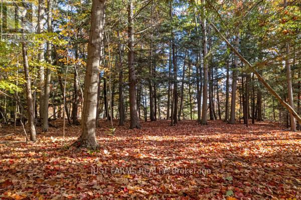 6646 Lakeshore Road, Lambton Shores, Ontario  N0N 1J7 - Photo 11 - X13004154