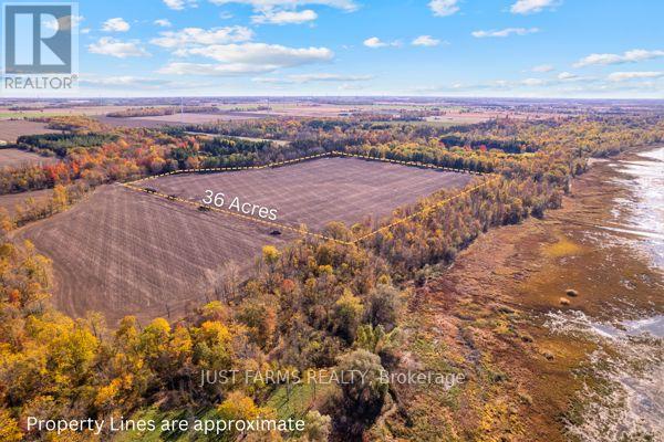 6646 Lakeshore Road, Lambton Shores, Ontario  N0N 1J7 - Photo 3 - X13004154