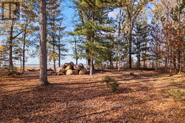 6646 Lakeshore Road, Lambton Shores, Ontario  N0N 1J7 - Photo 4 - X13004154