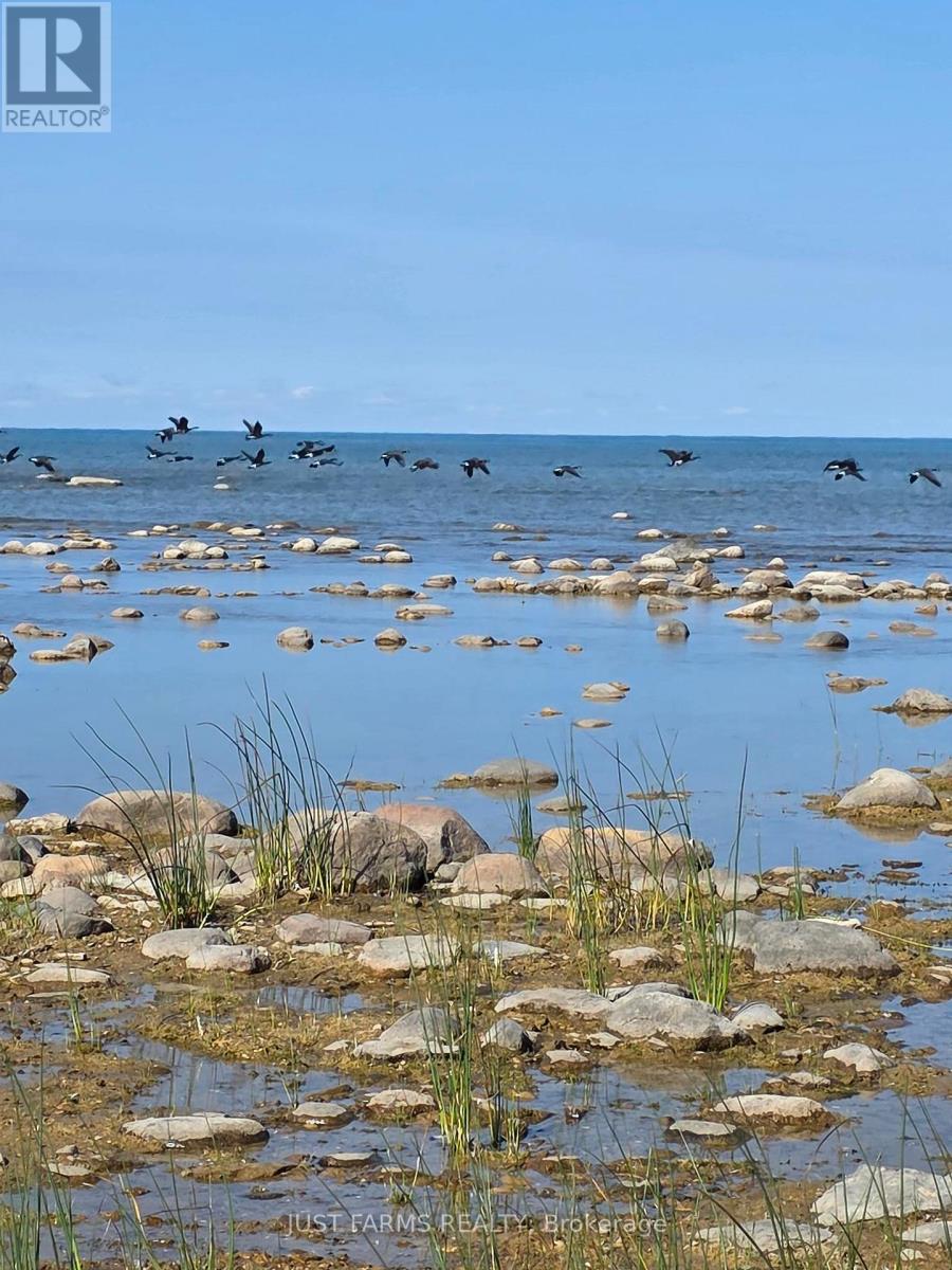 6646 Lakeshore Road, Lambton Shores, Ontario  N0N 1J7 - Photo 8 - X13004154