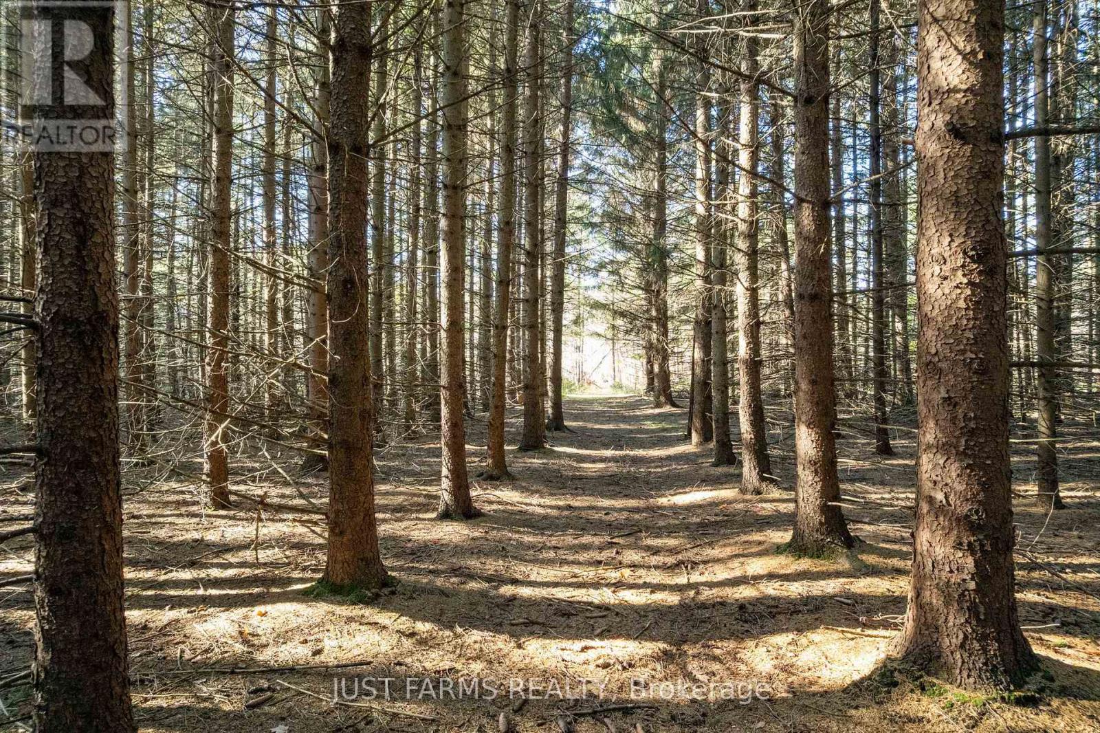 6646 Lakeshore Road, Lambton Shores, Ontario  N0N 1J7 - Photo 10 - X13004166