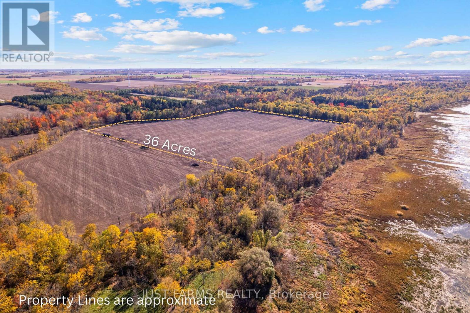 6646 Lakeshore Road, Lambton Shores, Ontario  N0N 1J7 - Photo 4 - X13004166