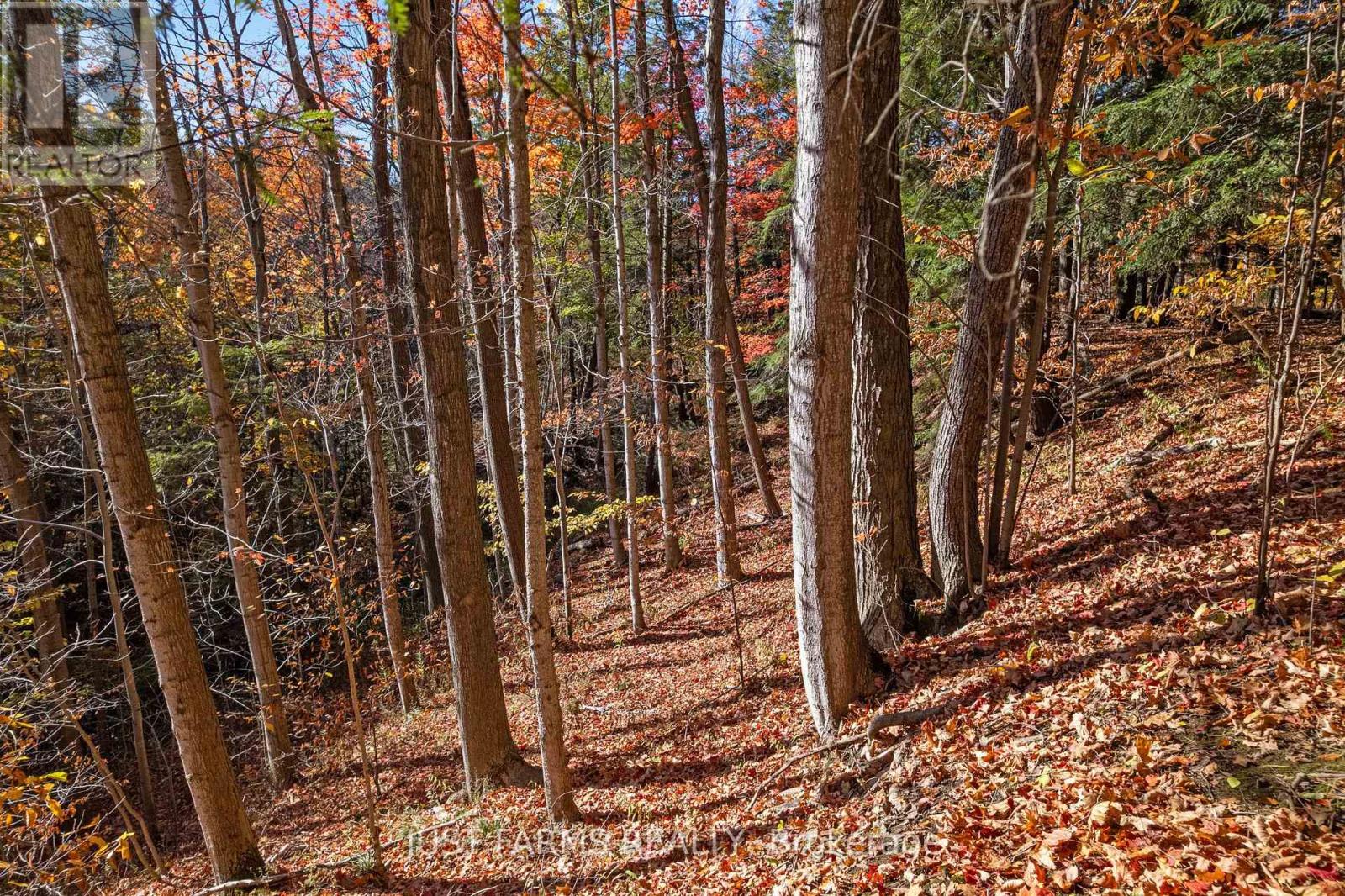 6646 Lakeshore Road, Lambton Shores, Ontario  N0N 1J7 - Photo 8 - X13004166