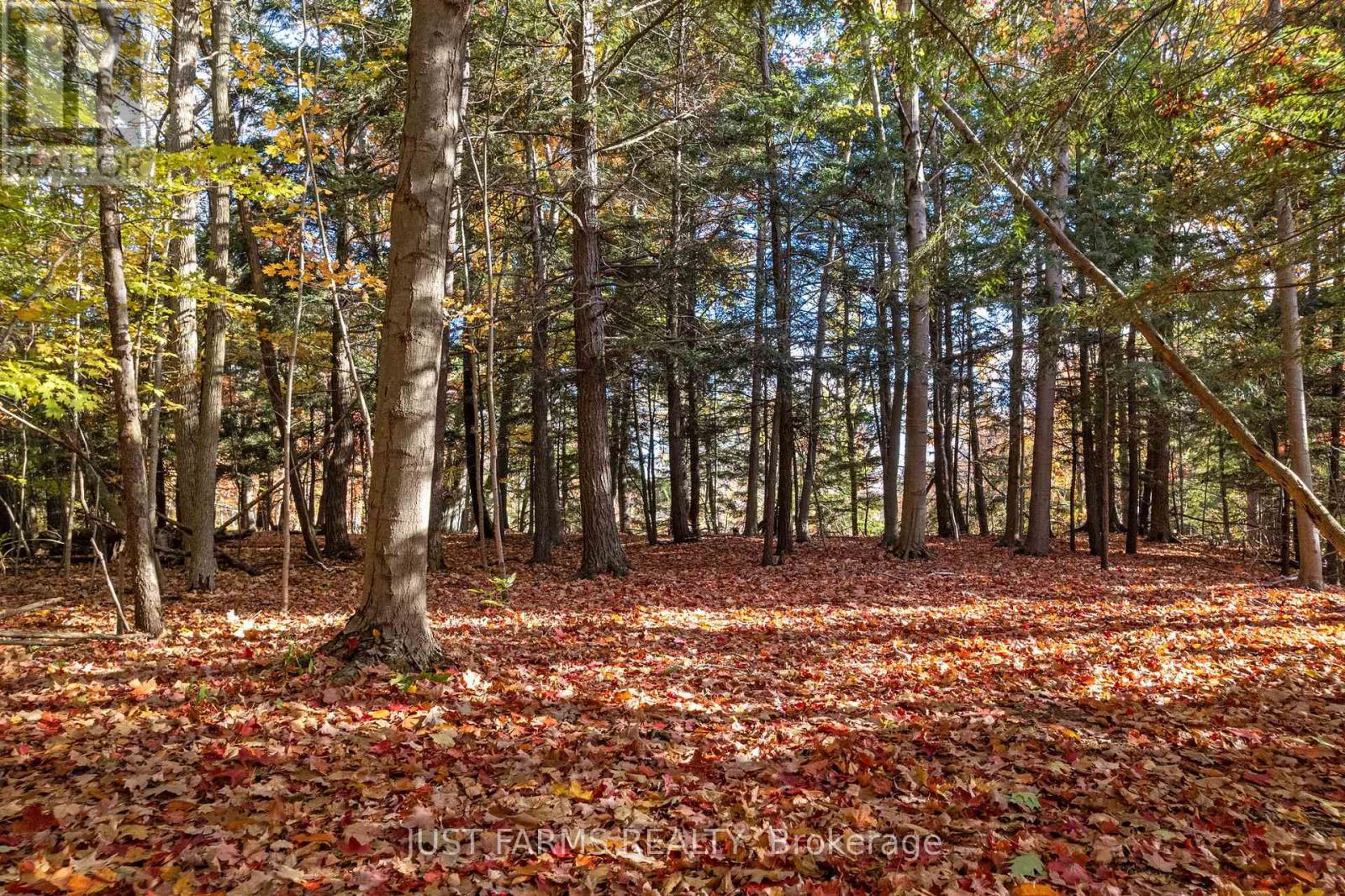 6646 Lakeshore Road, Lambton Shores, Ontario  N0N 1J7 - Photo 9 - X13004166