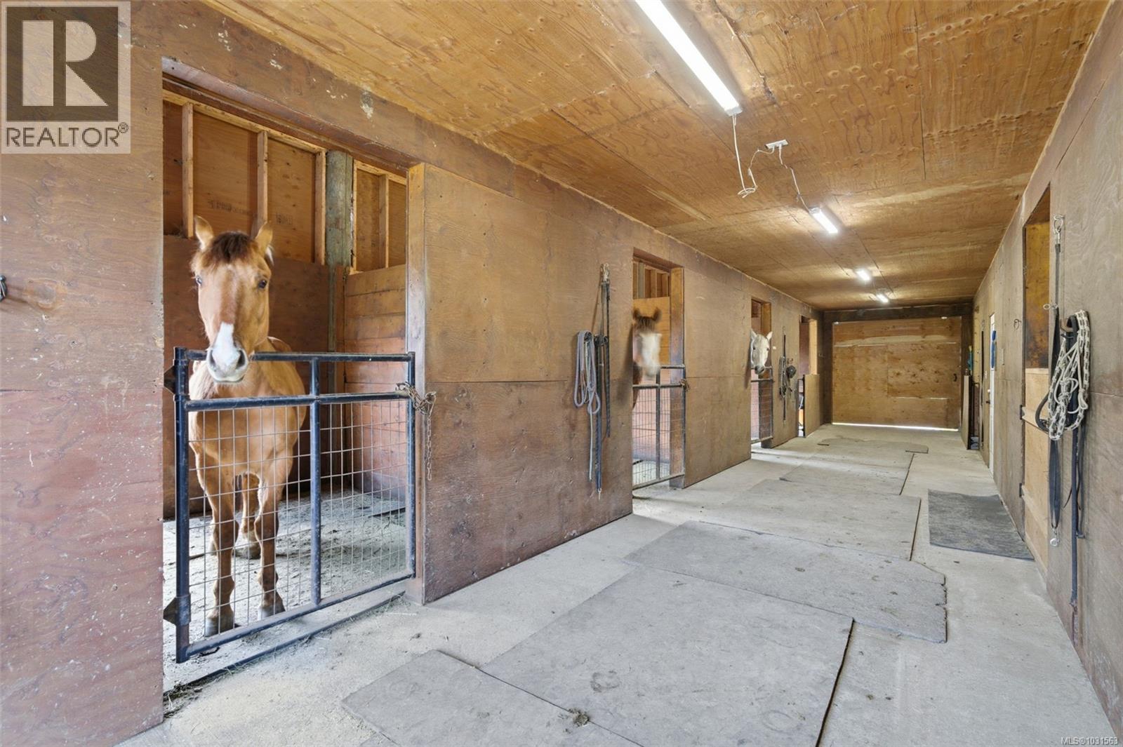 4425 Telegraph Rd, Cobble Hill, British Columbia V0R 1N2 - Photo 6 - 1031563