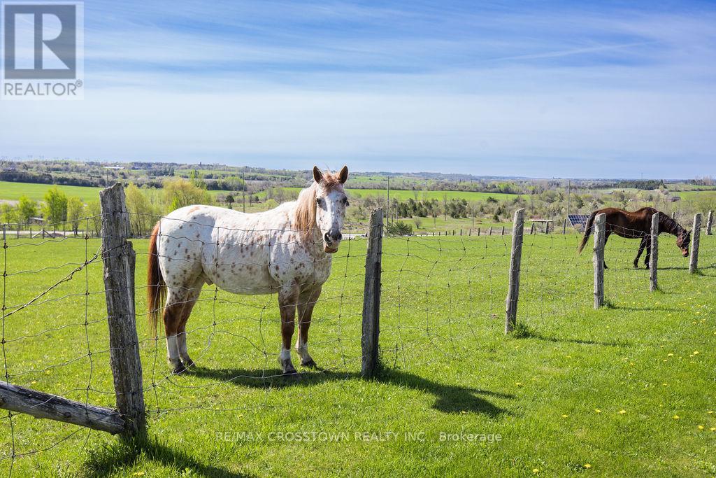 5556 10th Sideroad Road, Essa, Ontario  L0L 1N0 - Photo 27 - N13004118