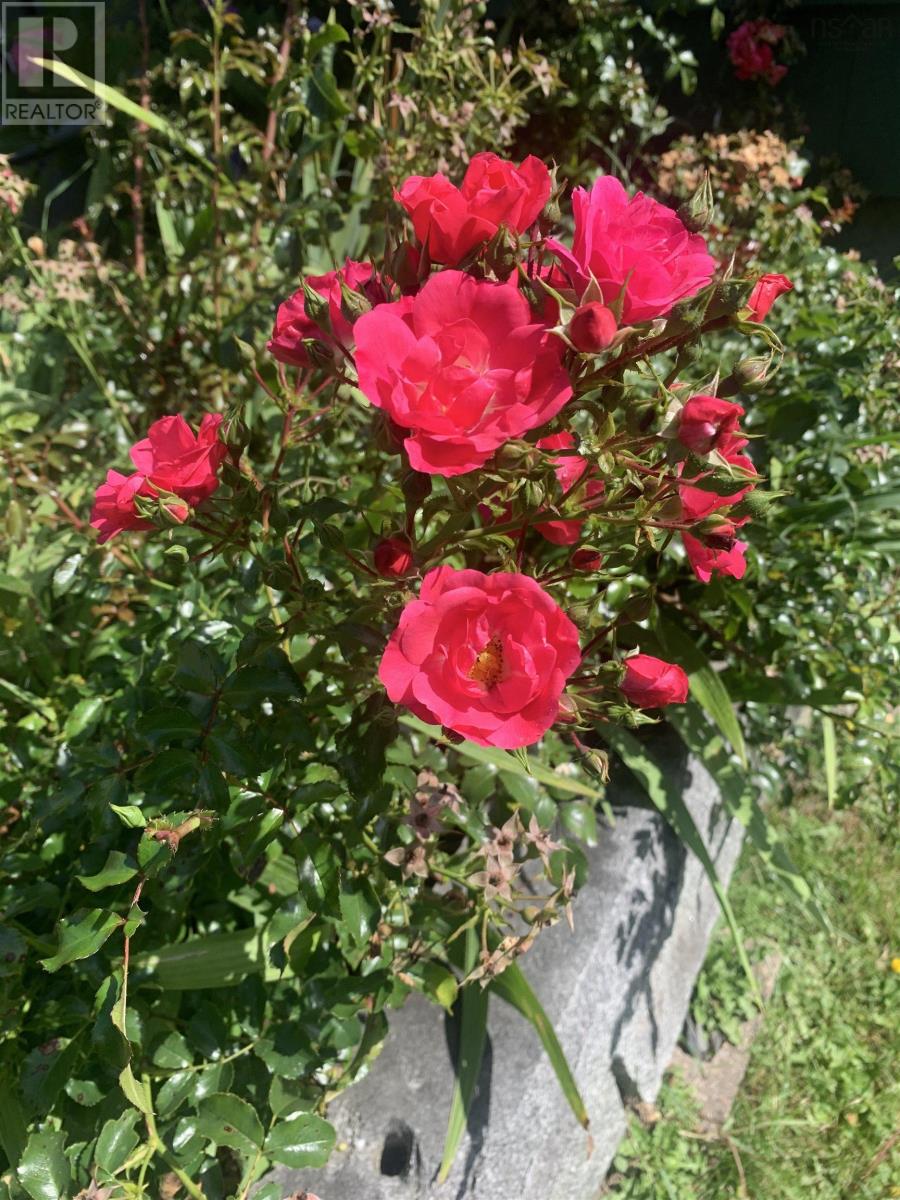 94 Queen Street, Chester, Nova Scotia  B0J 1J0 - Photo 36 - 202607121