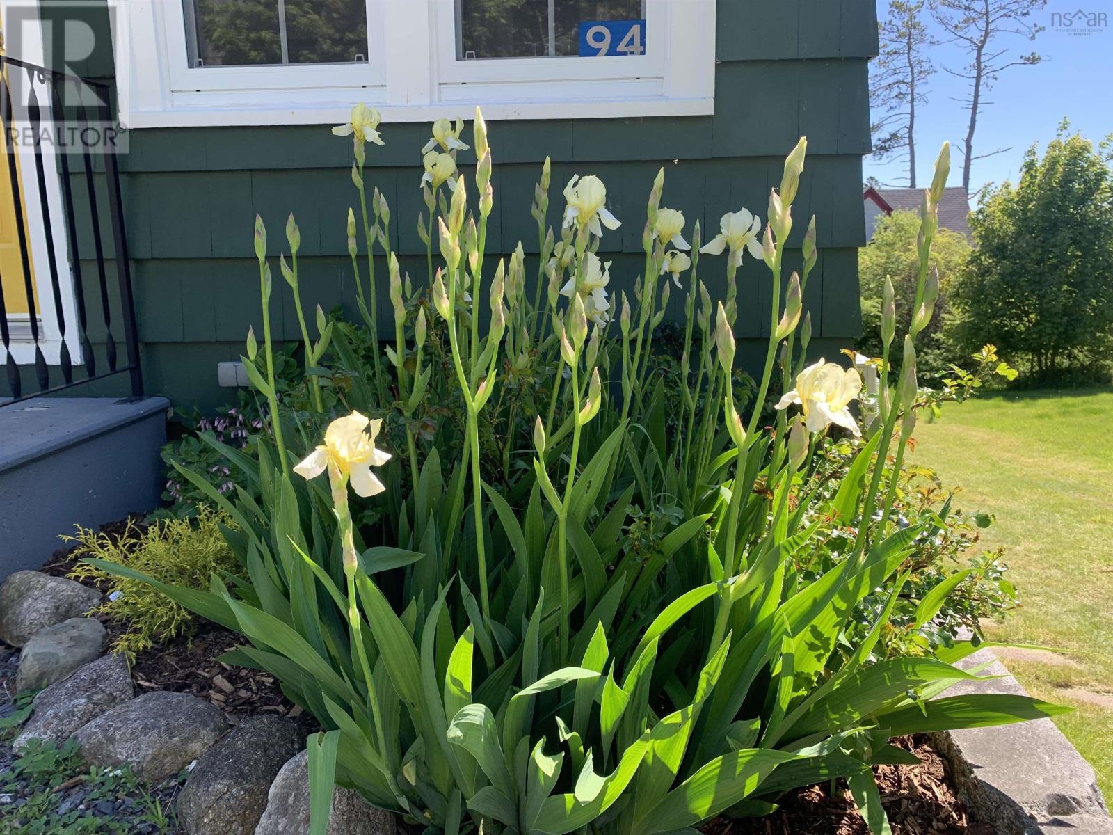 94 Queen Street, Chester, Nova Scotia  B0J 1J0 - Photo 34 - 202607121