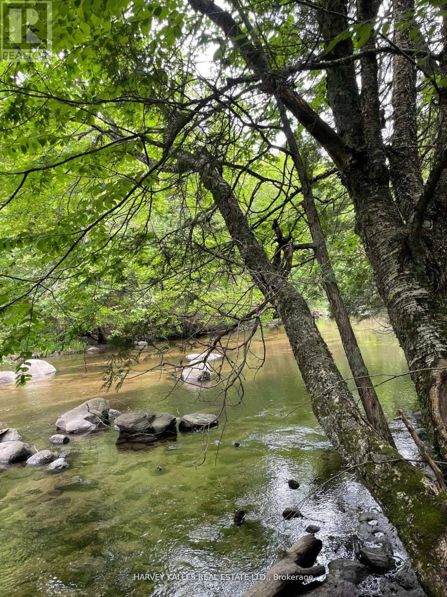 79 Gummow Road, Trent Hills, Ontario  K0K 3K0 - Photo 2 - X13004120