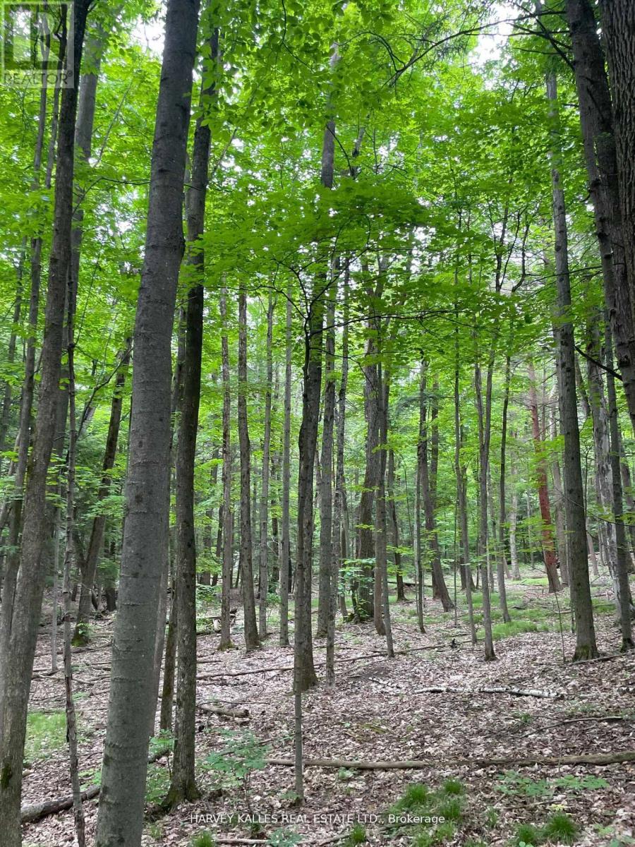 79 Gummow Road, Trent Hills, Ontario  K0K 3K0 - Photo 4 - X13004120