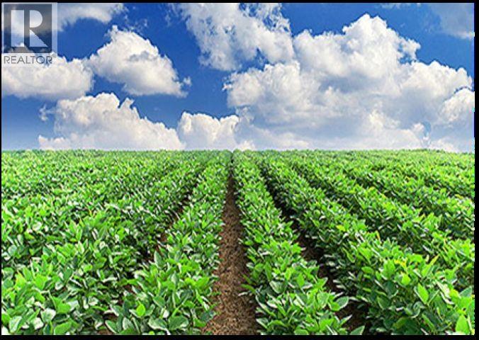 Unknown Address, , - Photo 3 - C8077817