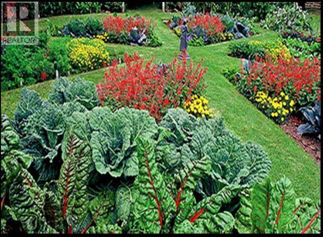 Unknown Address, , - Photo 4 - C8077817