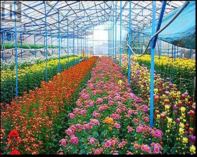 Unknown Address, , - Photo 5 - C8077817