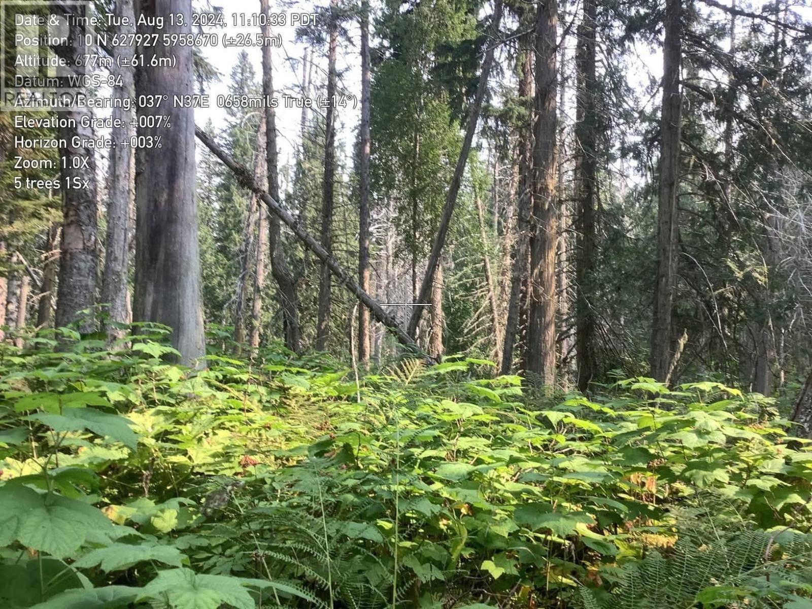 Blk D Dome Creek, Dome Creek, British Columbia  V0J 1H0 - Photo 11 - R3109439