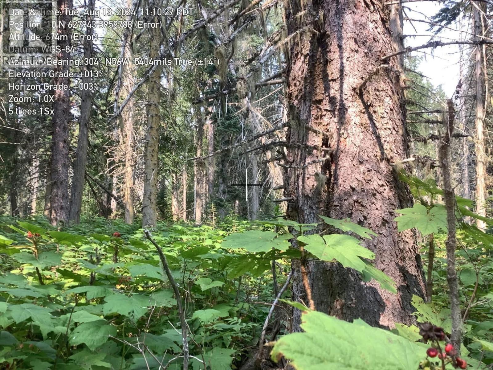 Blk D Dome Creek, Dome Creek, British Columbia  V0J 1H0 - Photo 16 - R3109439