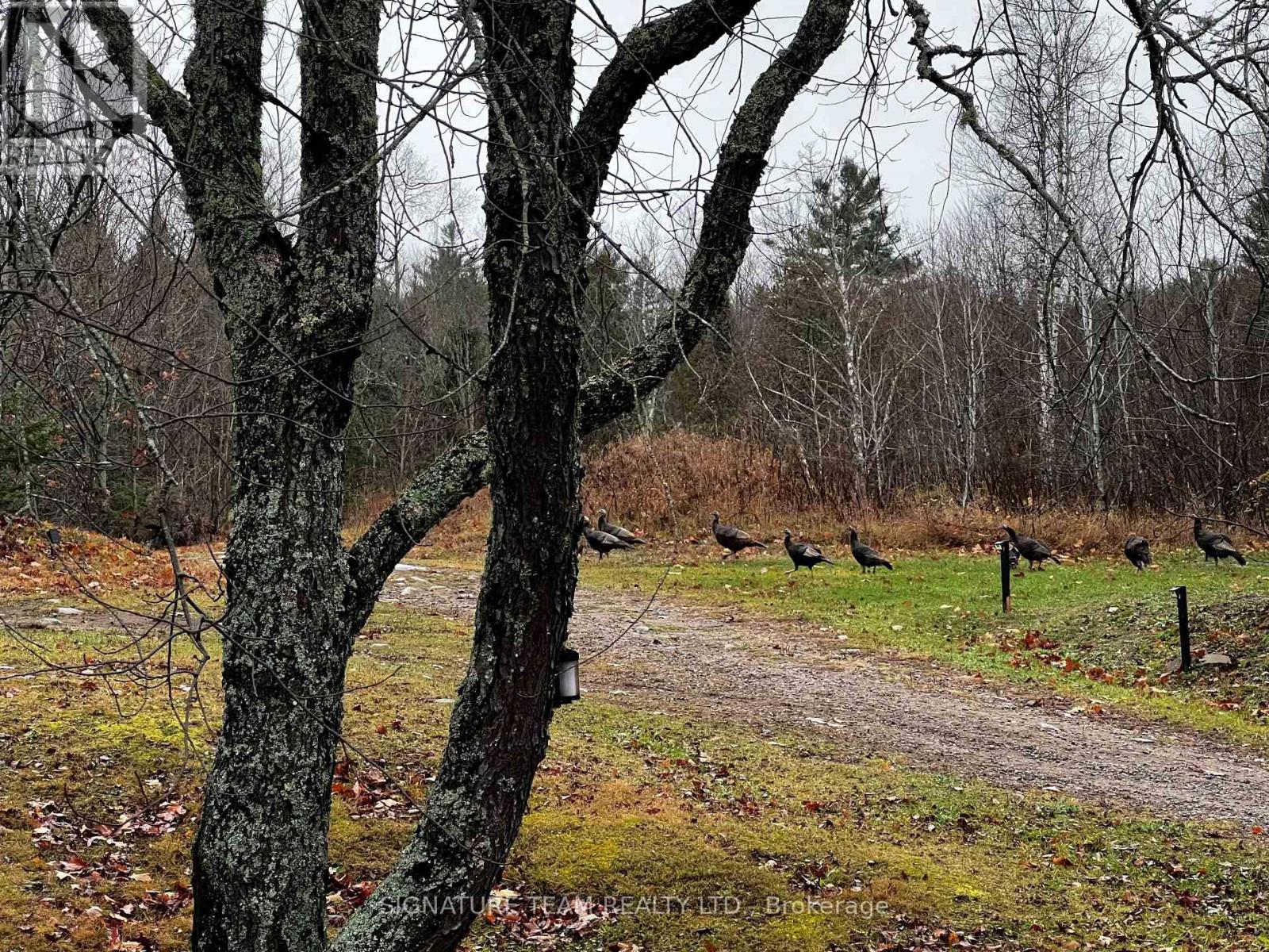 96 Addington Rd. 6 Road, Addington Highlands, Ontario  K0H 1K0 - Photo 40 - X13004384