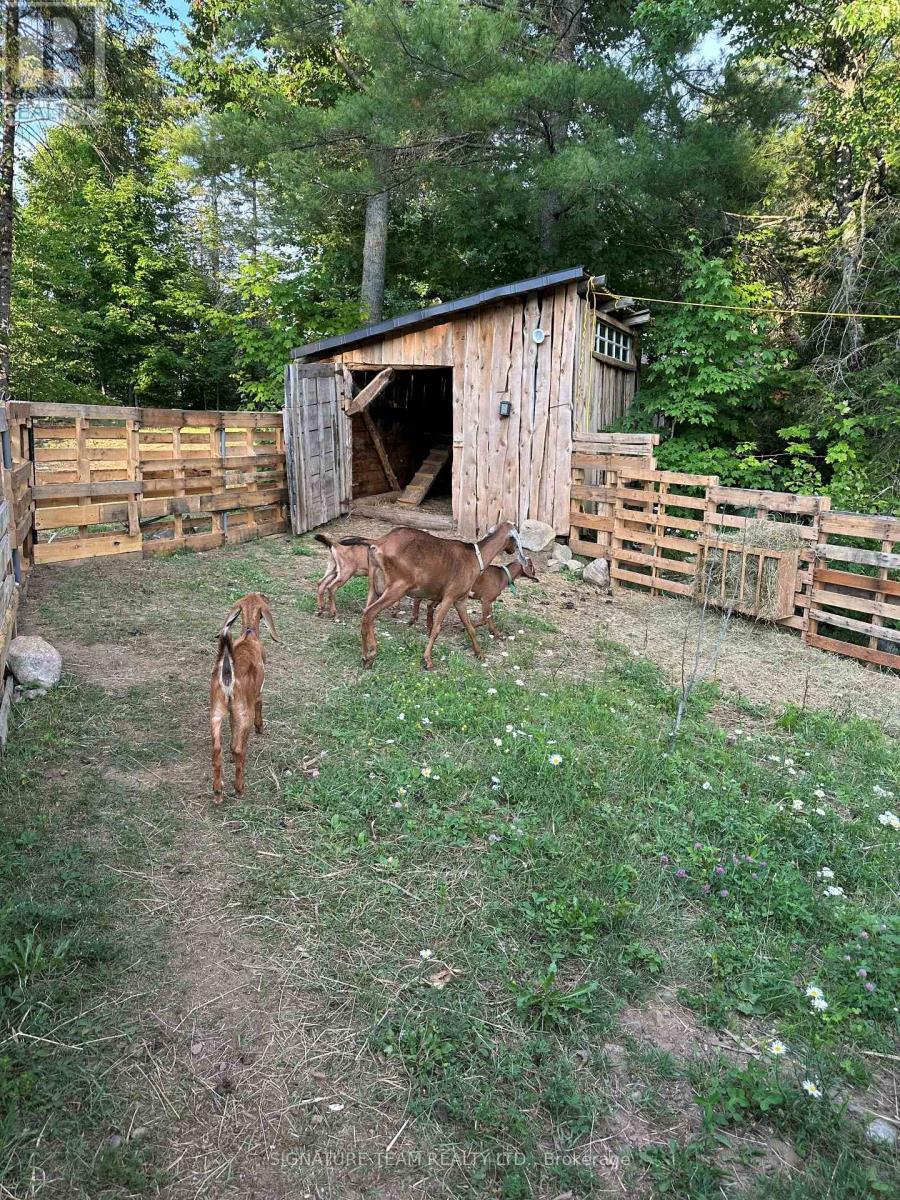 96 Addington Rd. 6 Road, Addington Highlands, Ontario  K0H 1K0 - Photo 45 - X13004384