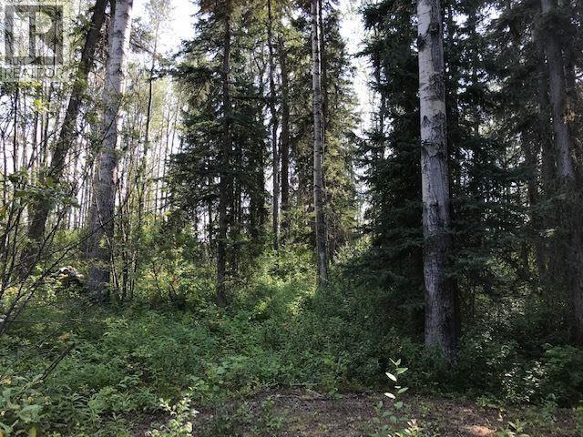 Jardine Road, Cluculz Lake, British Columbia  V0J 3A3 - Photo 4 - R3108808