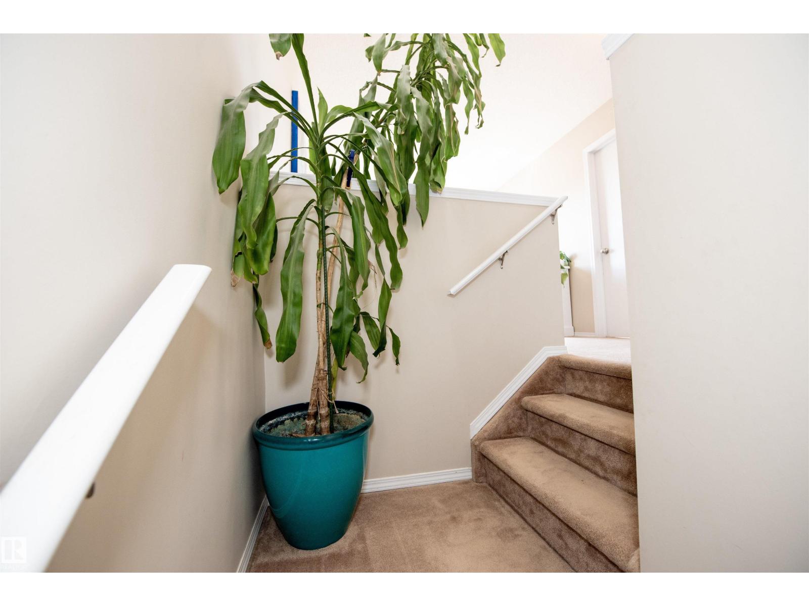 1224 76 St Sw, Edmonton, Alberta  T6X 1M9 - Photo 56 - E4482420