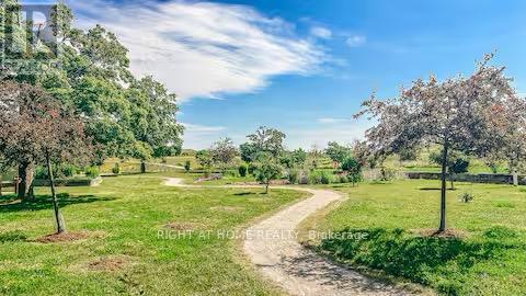 Basement Front - 127 Frederick Tisdale Drive, Toronto, Ontario  M3K 2B8 - Photo 13 - W13004588