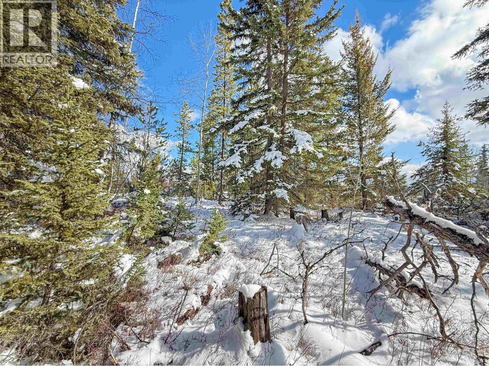 7002 Ptarmigan Road, Cluculz Lake, British Columbia  V0J 3A3 - Photo 21 - R3110865