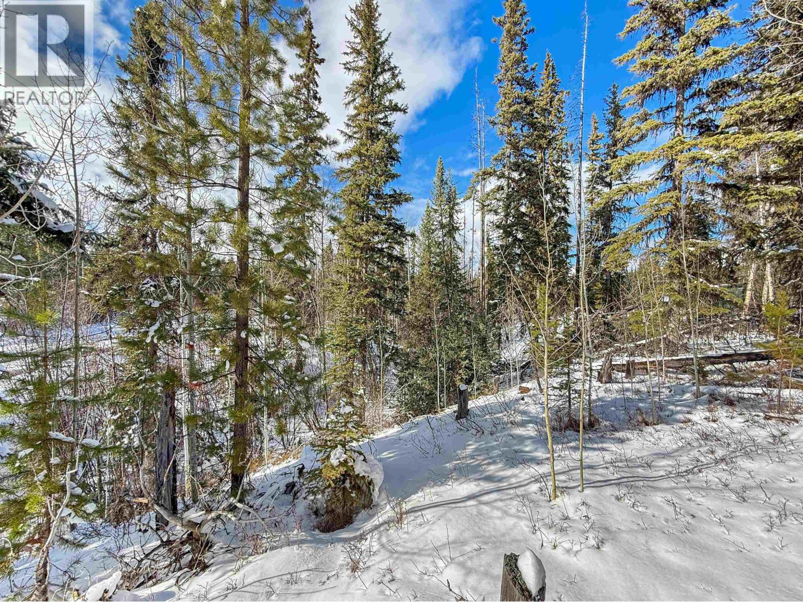 7002 Ptarmigan Road, Cluculz Lake, British Columbia  V0J 3A3 - Photo 19 - R3110865