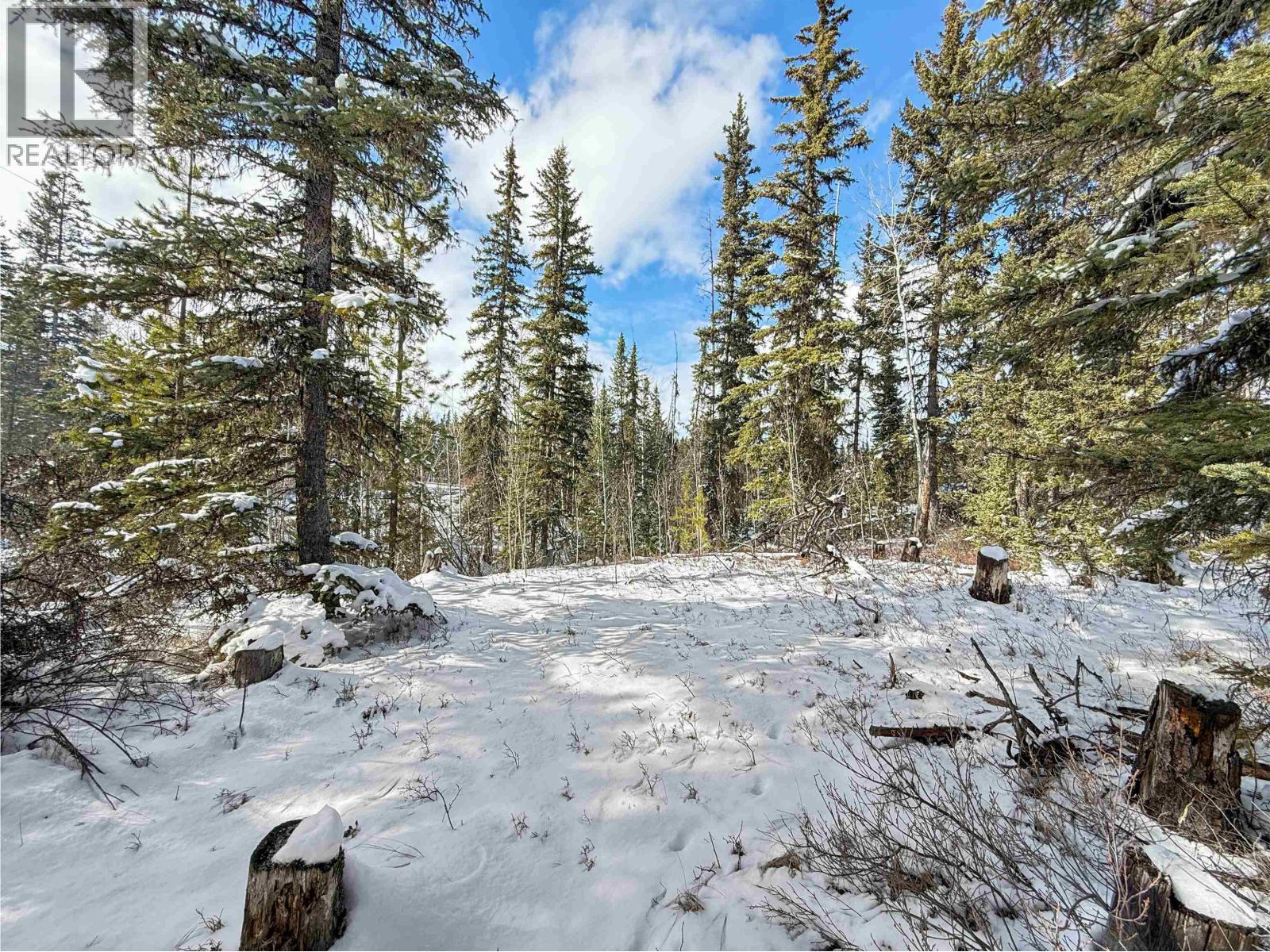 7002 Ptarmigan Road, Cluculz Lake, British Columbia  V0J 3A3 - Photo 16 - R3110865